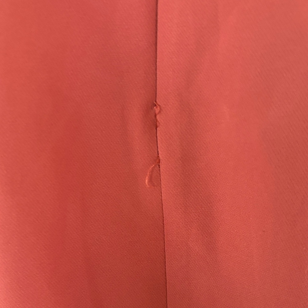 Express Ruffled V-Neck Mini Dress in Rust - Picture 3 of 3